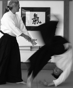 aikido modena